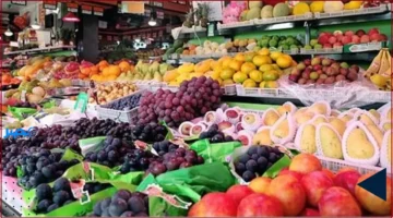 قفزة الأسعار.. ارتفاع كبير في سعر الكانتلوب والبلح بينما ينخفض البرتقال